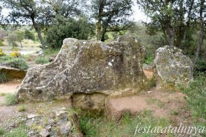 dolmen-puigsepedres3